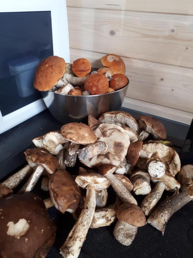 Ferienhaus Cicha Przystan Na Kaszubach *